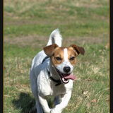 Lente 2010