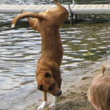 Foto van Angela • Bodhi