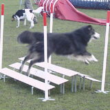 Ginger over de breed (3e les)