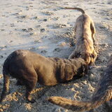 Foto van Erika & Faya  ?BRL?