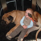 Foto van mijn bull en kangal