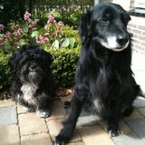 lief!!