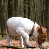 Foto van Kirsten
