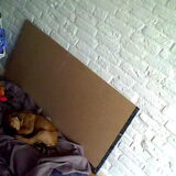 Foto van bo