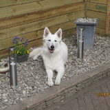 Missie...
