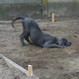 Spelen??