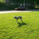 eerste x zwemmen!