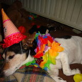 wat een party phhhh
