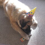Happy birthday to you.....