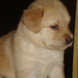 handsome boy !!!