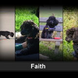 Foto van woopy en faith