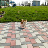 onze Jos (april 2010)