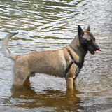 Foto van Shamilla & Zena