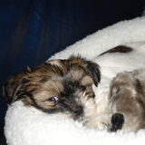 Onze kleine schat.. Lara