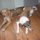 samen :D