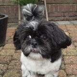 mei 2010