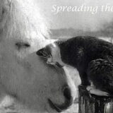 Zo lief!