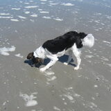 Teun vond alles spannend en interessant, schelpen, schuim, water...