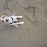 mijn eerste strand wandeling