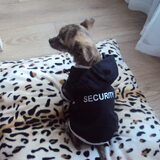 Security