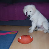 Foto van Clooney