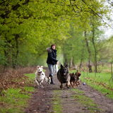 Foto van Hetty & Skipper