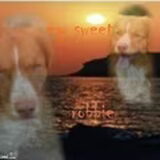 weer een mooie honden foto