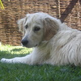 Foto van Nathalie