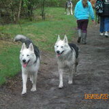 Yindi en Lica aan het wandelen in Zeegse