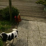 Cissy en Henny
