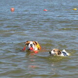 waterratten tessa en amber