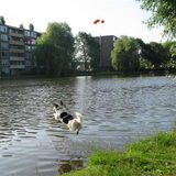 tessa plonst