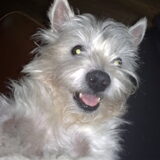 Hier zie je Iggy+, dit is één van de mooiste foto´s.