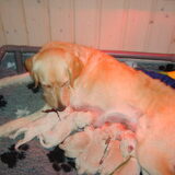 mams met het kids