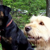 Wandeling 09-05; Matchy en Joy