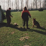 Pakwerk met Bomber