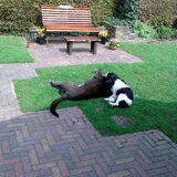 lekker spelen met de buurjongen