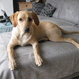Kira! vriendinnetje voor Max, en ons nieuw kindje!