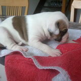 Foto van Wendy