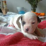 Foto van Wendy