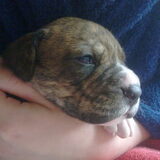 Foto van Wendy