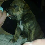 Foto van Wendy