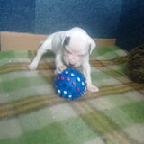 Foto van Wendy