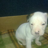 Foto van Wendy