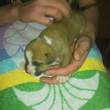 Foto van Wendy