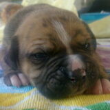Foto van Wendy
