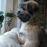 beetje waaks :)