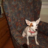 lila op oude oma stoel haha