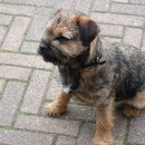 Foto van Mariette Boers