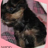 Schattig te wezen!!!